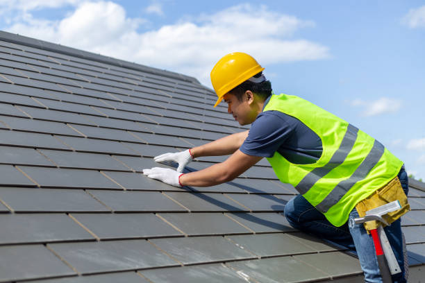 Best Roof Moss and Algae Removal  in Fountainebleau, FL